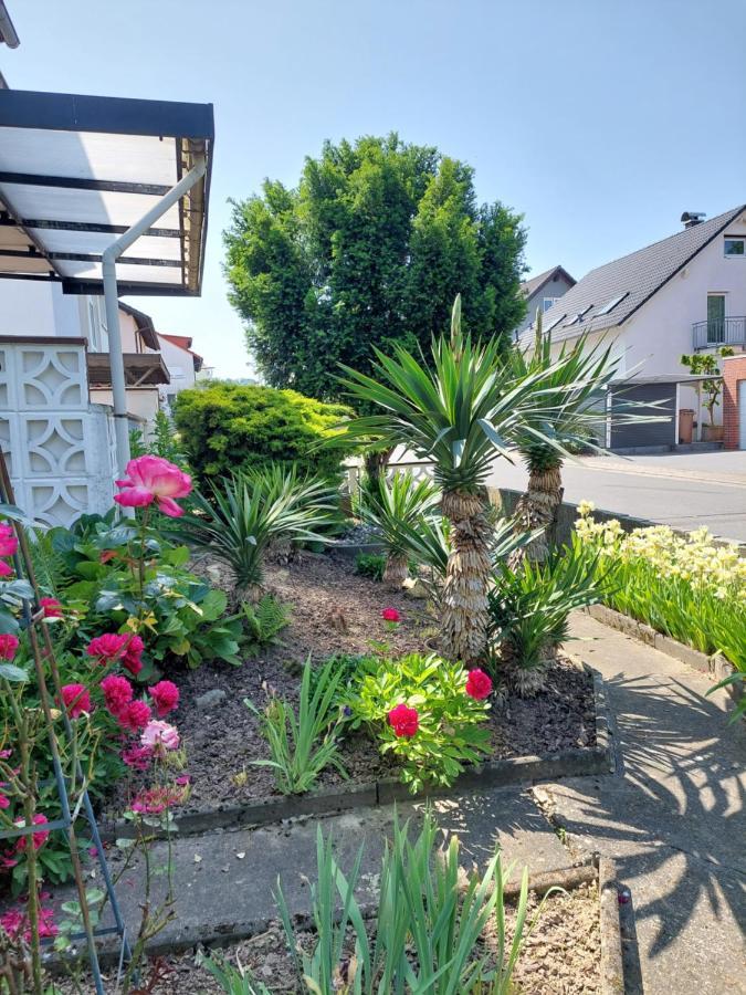 Urige Gemuetliche Ferienwohnung 64 M2 In Dielheim, Naehe Heidelberg Zewnętrze zdjęcie
